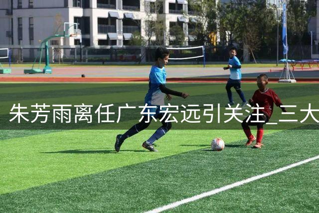 朱芳雨离任广东宏远引关注 三大职业去向曝光